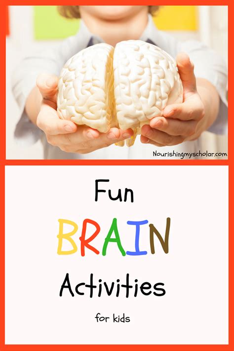 Fun Brain Activities For Kids Nourishing My Scholar Fun Brain