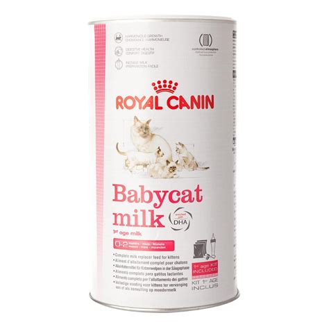 Royal Canin First Age Babycat Milk 300 Gr Amore Animale Shop