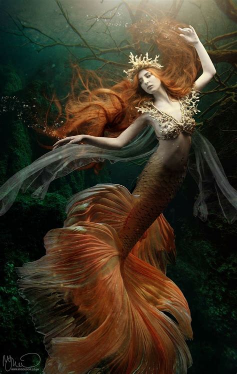 pin by oralia fonseca on sweet mermaid dreams mermaid artwork mermaid art mermaid photography