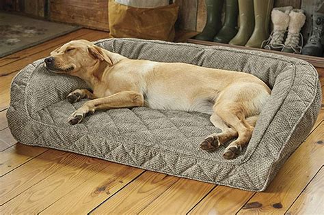 Best Dog Beds In 2023 A Comprehensive Guide