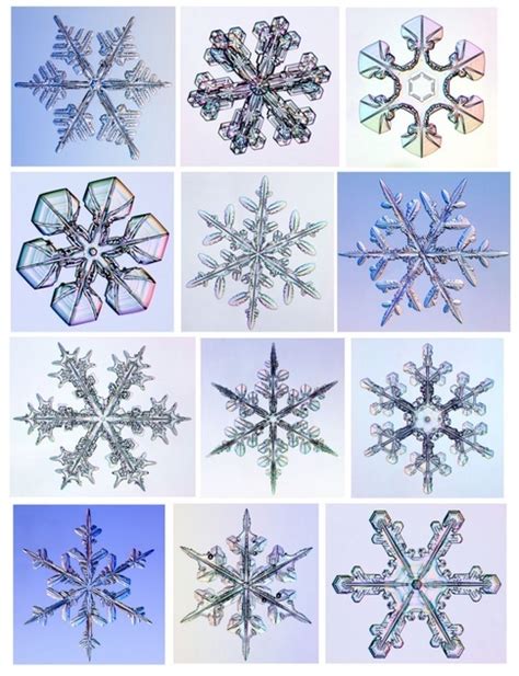 Fractals Snowflakes Natural Geometry Pinterest