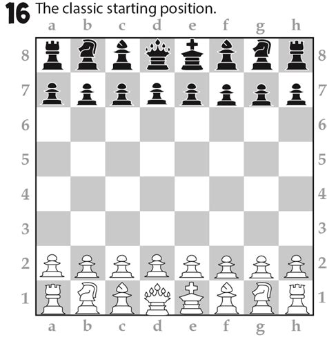 How To Setup Wizard Chess Board Haiper