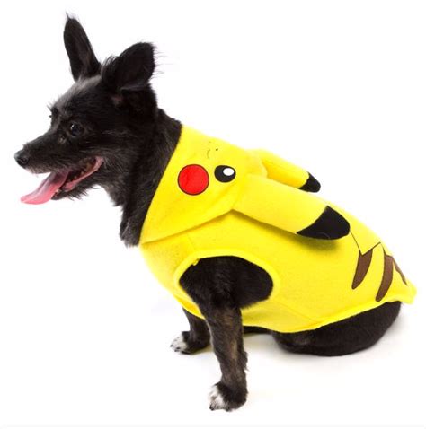 Cute Halloween Costumes For Dogs Pet Hooligans