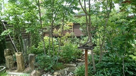 広島市 雑木の庭 年間管理 | 狩下庭苑デザインオフィス（旧光明庭園） 造園 庭工事 日々の営み