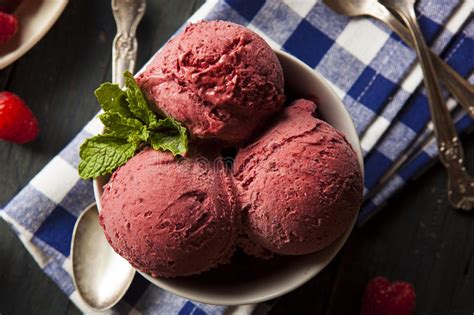 Homemade Organic Berry Sorbet Ice Cream Stock Photo Image Of