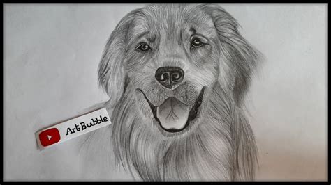 Kids and beginners alike can now draw a great looking dog. How To Draw a Realistic Dog |realistic Fur|Step by Step| - YouTube