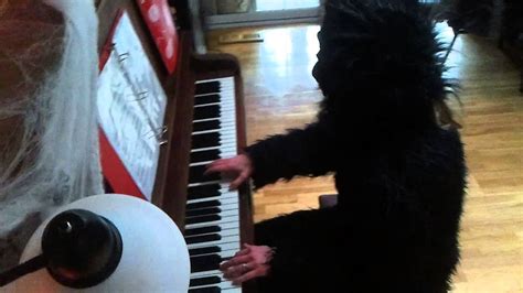 Gorilla Playing The Piano Youtube
