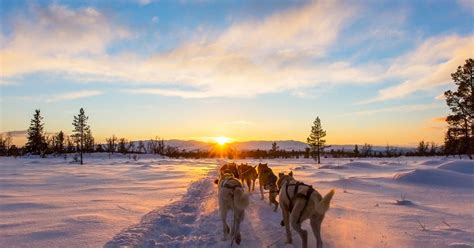 Lapland Holidays Discover The World Nordic Experts
