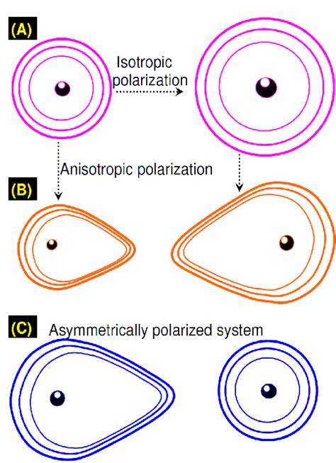 We Define Here The Different Types Of Polarizations Discussed In The Download Scientific