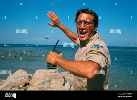 Roy Scheiderjaws 1975 Universal Pictures File Reference 32914