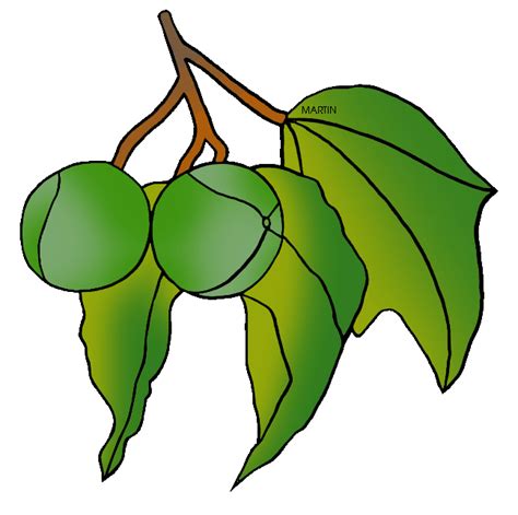 We did not find results for: clipart of hawaiis state tree - Clipground