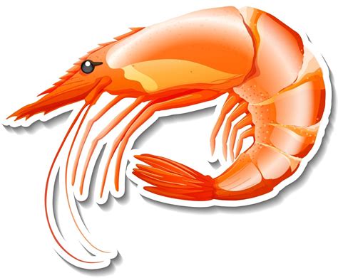 Shrimp Seafood Cartoon Sticker On White Background 2988625 Vector Art