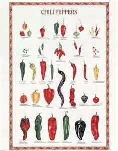 The Chili Pepper Poster Google Search Stuffed Peppers Types Of