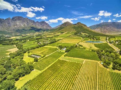 Cape Town And Surrounds Wine Estates Surafrica