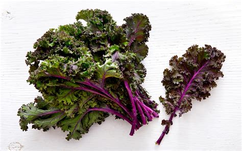Organic Red Curly Kale 1 Bunch True Harvest Good Eggs