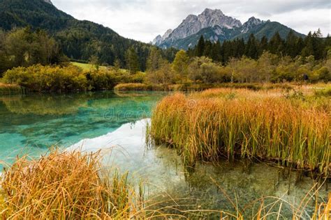Zelenci Natural Reserve In Triglav National Park Slovenia Stock Image