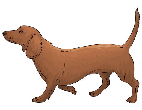 Dachshund Clipart Free Download Transparent Png Creazilla