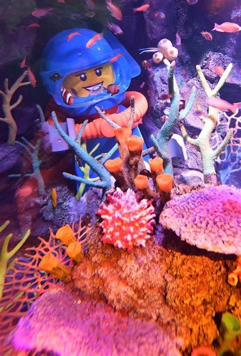 In Photos Legoland Reveals Aquarium And Hotel Scheduled To Open In