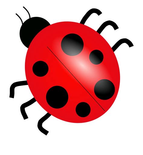 Clip Art Lady Bugs 20 Free Cliparts Download Images On Clipground 2022