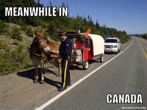 Gary Jorgensen On Twitter Meanwhile In Canada Canadian Humor Canada