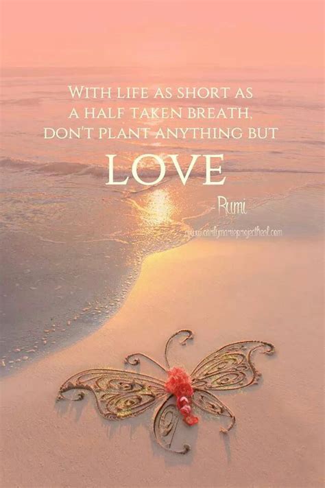 Here are 200 of the finest rumi quotes to bring you light, joy, and love. Rumi Quotes True Love. QuotesGram