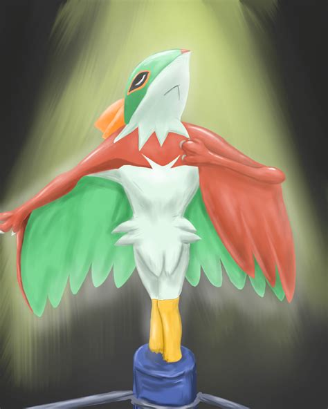 Hawlucha 60 Minutes Paintings By Eric May On Deviantart
