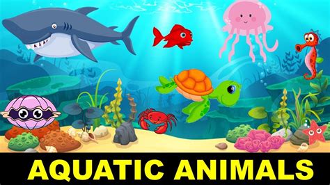 Aquatic Animals Water Animals Sea Animals Aquatic Animals For