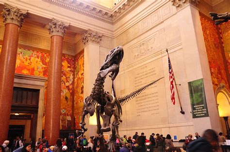 american-museum-of-natural-history-wherever-family