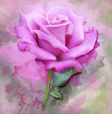 Top 999 Rose Painting Images Amazing Collection Rose Painting Images