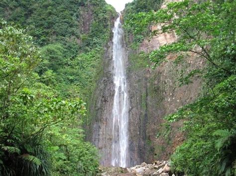 Carbet Falls Les Chutes Du Carbet Parc National All You Need To