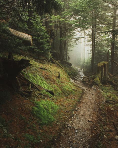 A Photographers Favorite Images From The Appalachian Trail The Trek