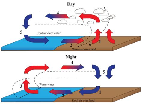 Diagram Illustrating Convection Currents In An Ocean