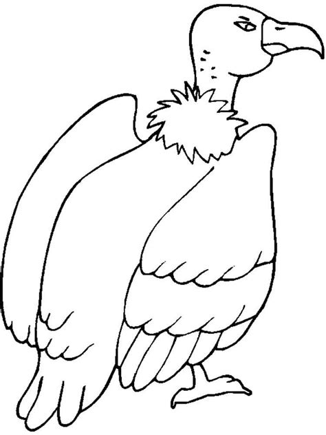 Vulture Printable Coloring Pages Coloring Pages