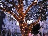 Photos of Outdoor Solar Lights For Trees