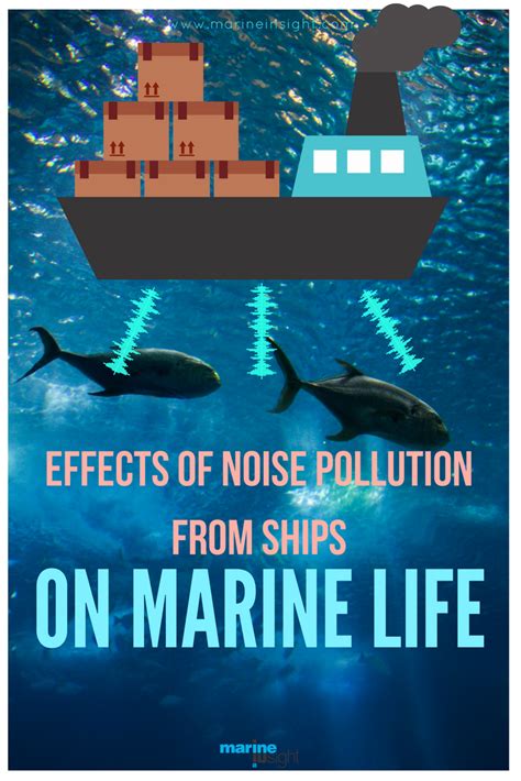 Effects Of Noise Pollution From Ships On Marine Life