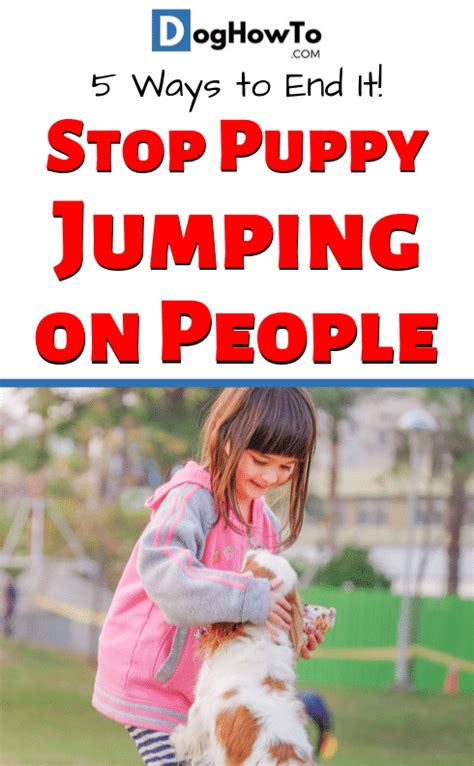 How To Stop Your Puppy From Jumping On People Dht