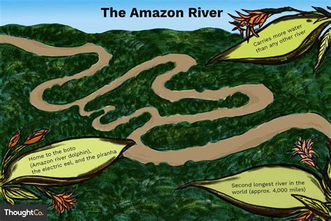 geography facts about the amazon river