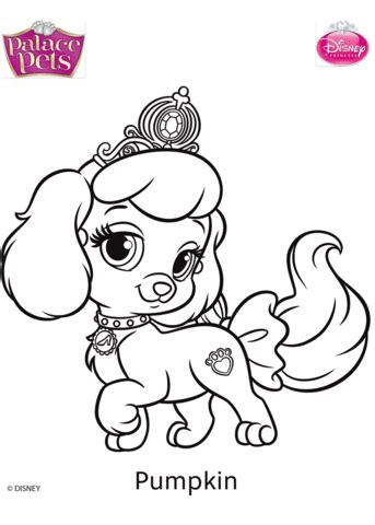 Whisker haven stories with the palace pets (also known as whisker haven testimonies or easily whisker haven) is an american lively short collection lively and produced by ghostbot studios and disney publishing. Palace Pets Pumpkin coloring page | Free Printable ...