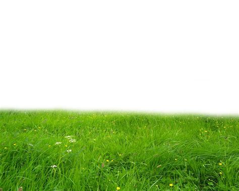 Green Grass Png Download Image Png Arts