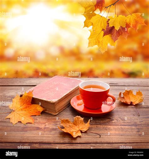 Autumn Background Autumn Leaves Book And Cup Of Tea On Wooden Table