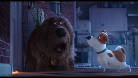 Gavin's Corner: THE SECRET LIFE OF PETS Blu-ray Review