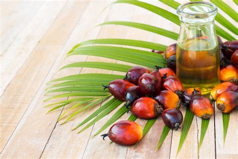 It is used to prevent vitamin a deficiency and is an excellent source of tocotrienols, forms of vitamin e with strong antioxidant properties. Palm Oil: Is It A Healthier Choice? - Longevity LIVE