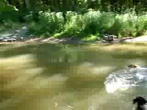 Swim Hole Seven Creeks YouTube