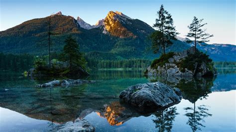 Solid Mountain Plant Tarn Beauty In Nature Tree Hintersee Rock