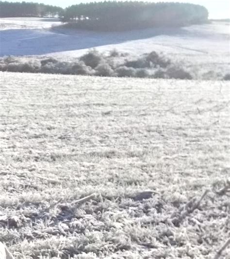 Protocolo da volta do público aos estádios prevê jogos na arena Frio abaixo de zero no Sul do Brasil - MetSul Meteorologia