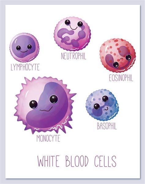 White Blood Cells Wall Art Print Biology Cute Fun