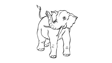 Eléphant 14 Coloriages Animaux Elephants