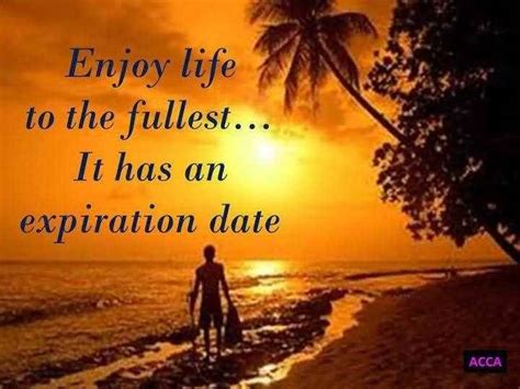 20 Enjoying Life Quotes Sayings Images And Photos Quotesbae