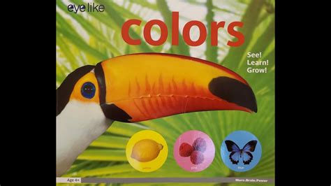 Eyelike Colors Read Aloud By Playbac Youtube