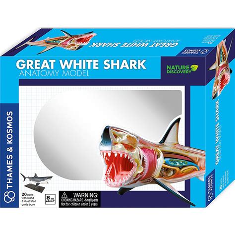Thames And Kosmos Animal Anatomy Great White Shark 261110 Science
